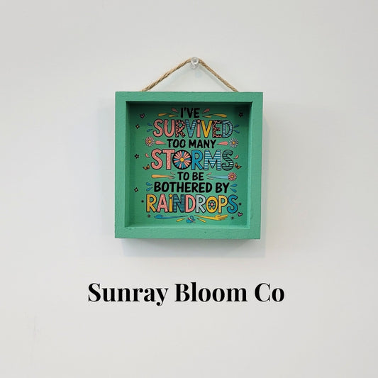 I Survived Too Many Storms Decorative Sign